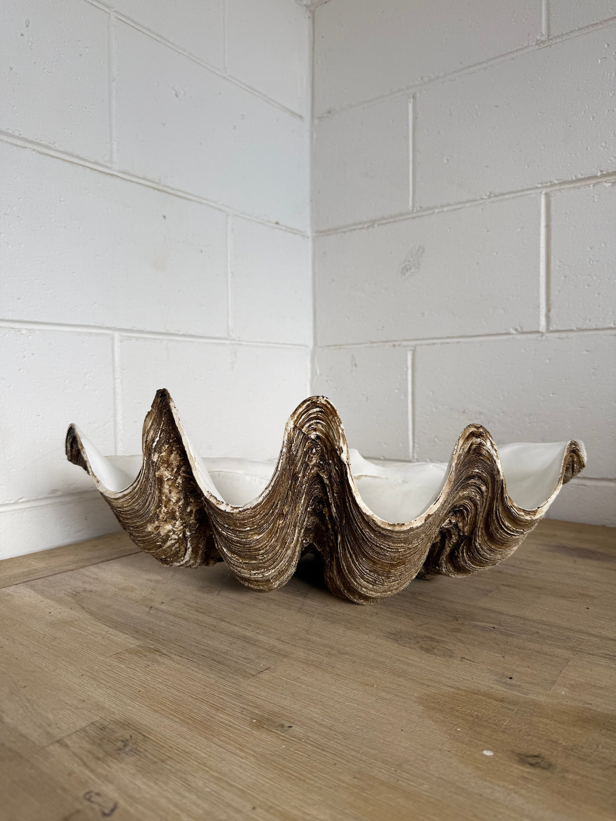 Terracotta Clayworks Large Clam Shell Planter