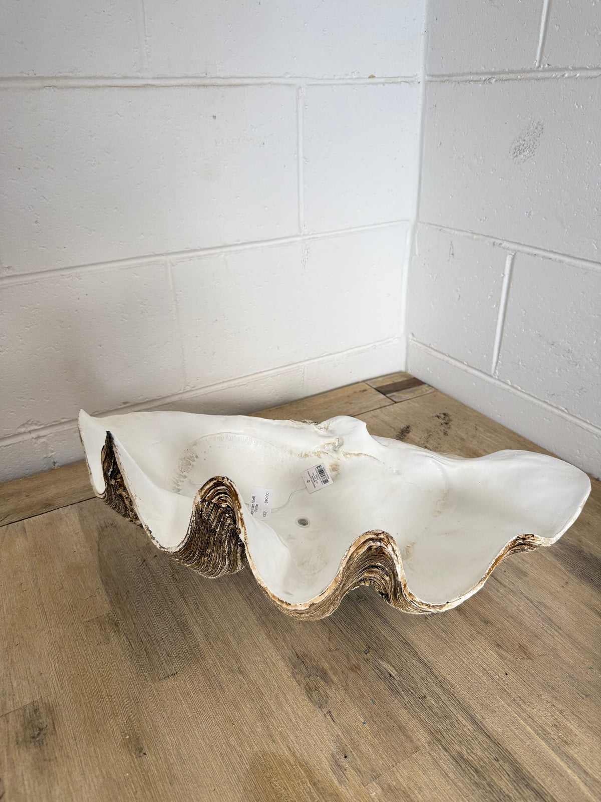 Terracotta Clayworks Large Clam Shell Planter