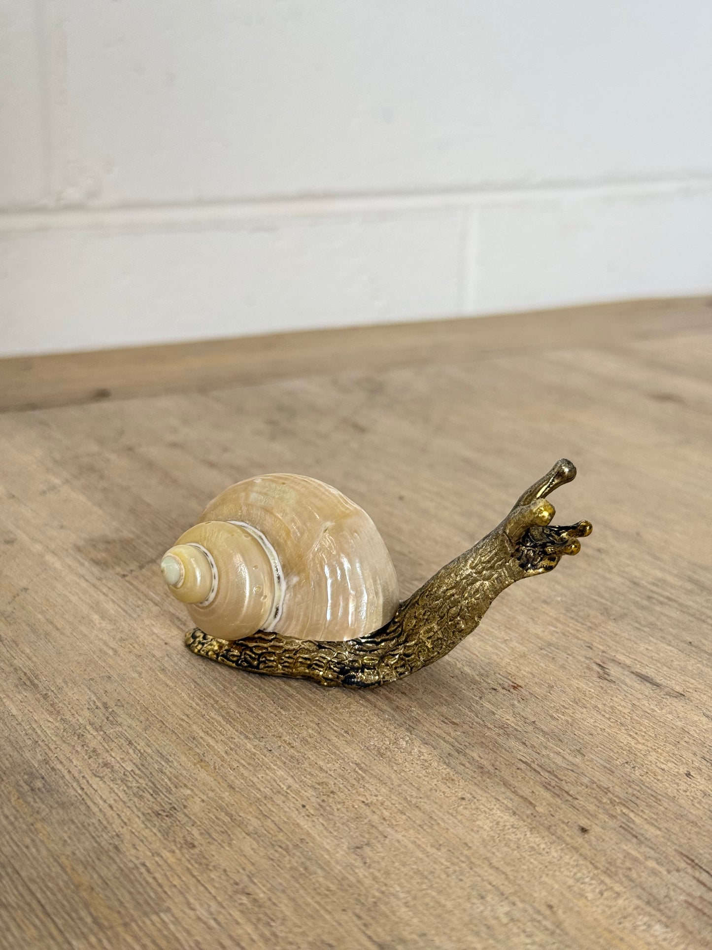 Shell Snail Antique Finish