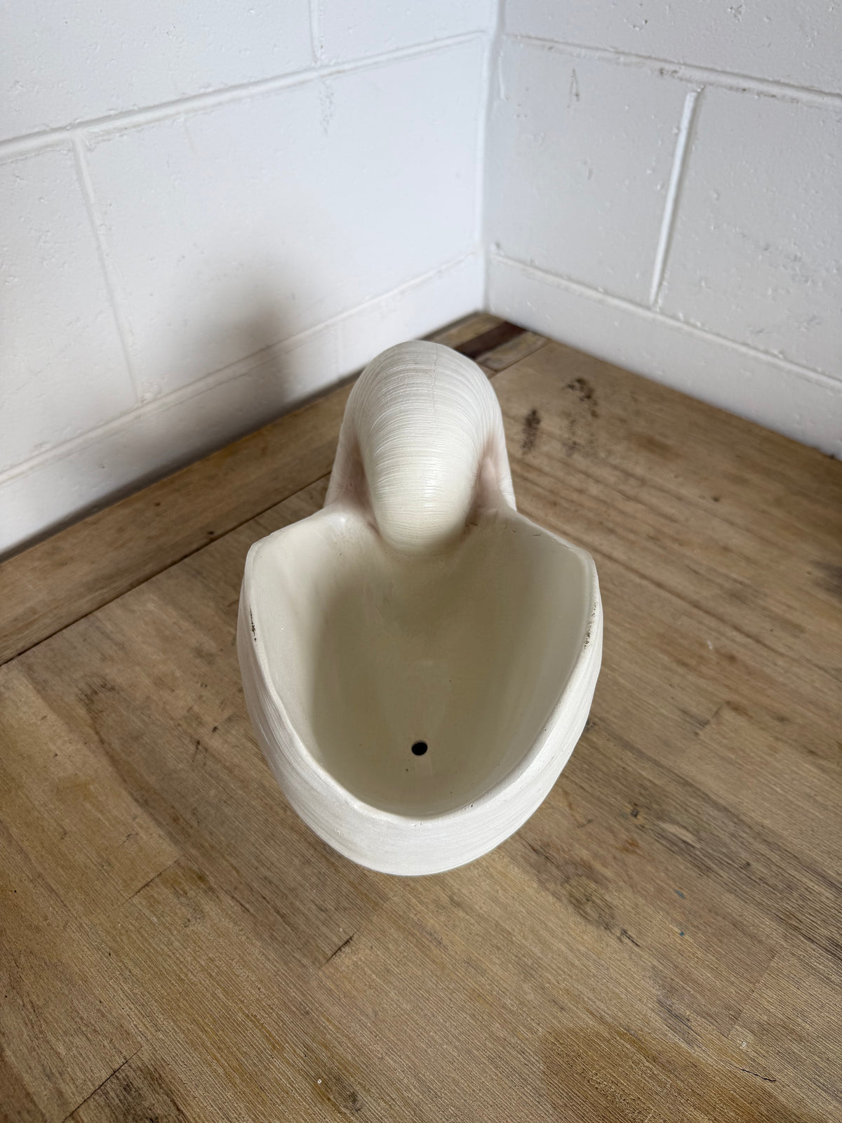 Terracotta Clayworks White Nautilus Shell Planter
