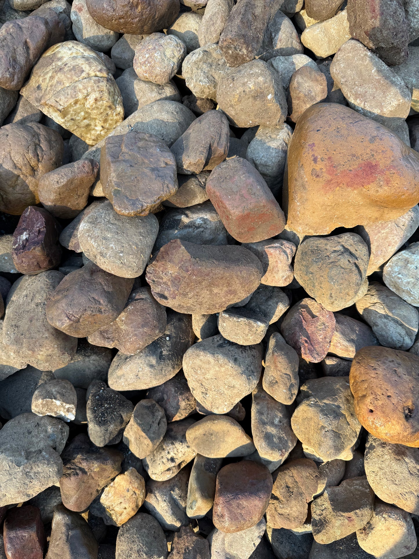 75-150mm Mary River Pebble with phone for scale showing generous stone size, sourced from the Mary River region Queensland