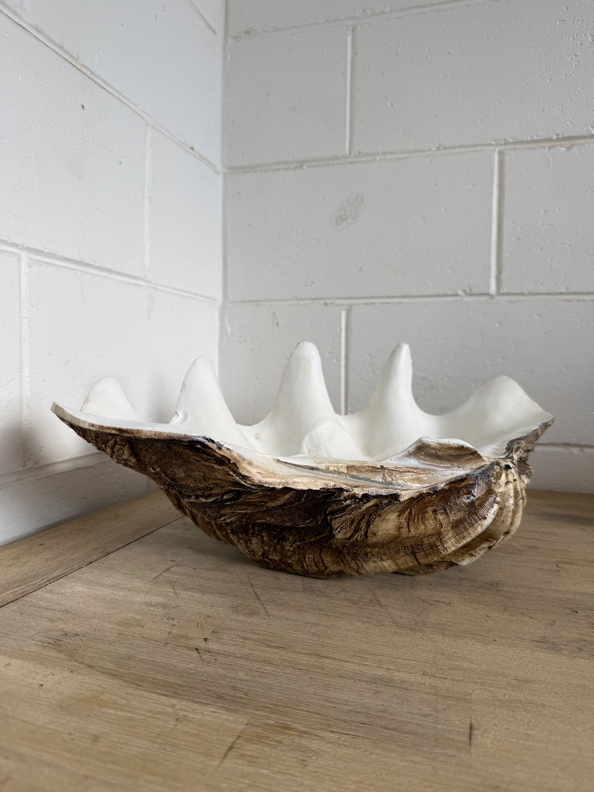 Terracotta Clayworks Large Clam Shell Planter