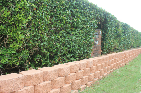 Classic Wall Paver - Canyon