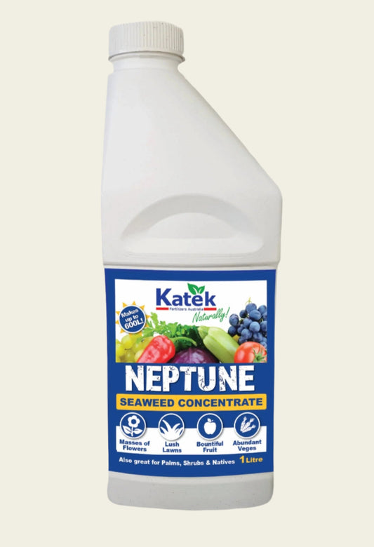 Neptune 1L