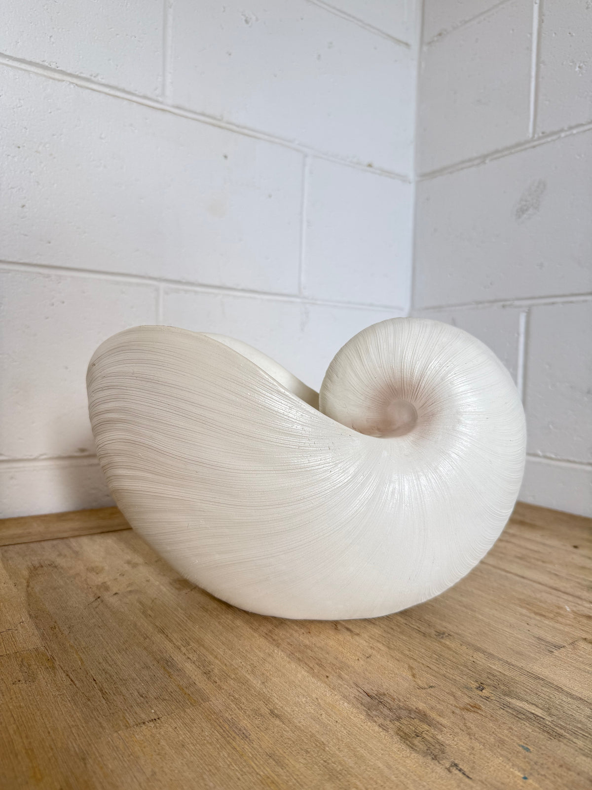 Terracotta Clayworks White Nautilus Shell Planter