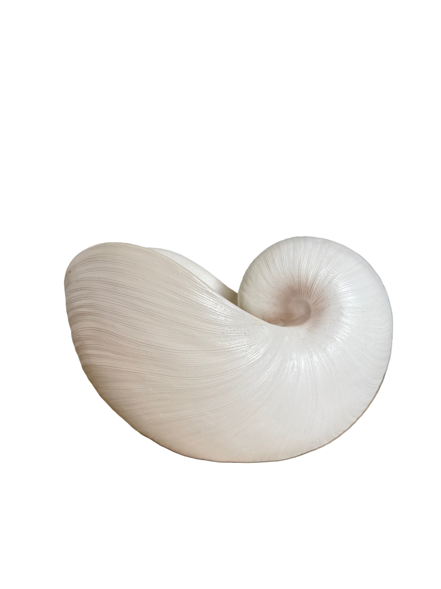 White Nautilus Shell Planter
