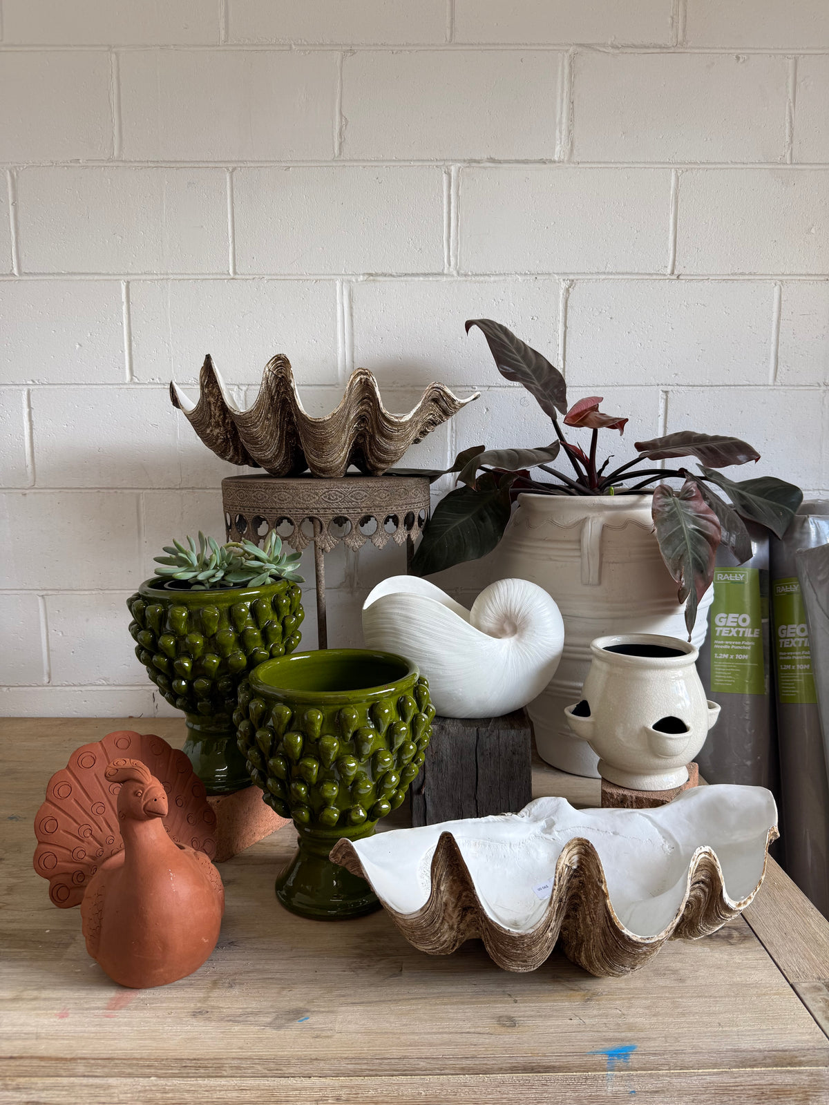 Terracotta Clayworks White Nautilus Shell Planter
