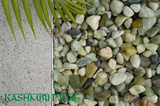 Jade polished pebbles 20-30mm close-up — green polished stone, Burrum Landscape Supplies