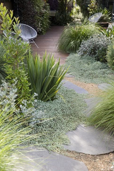 Kashmiri Pebbles Bluestone Organic Stepper