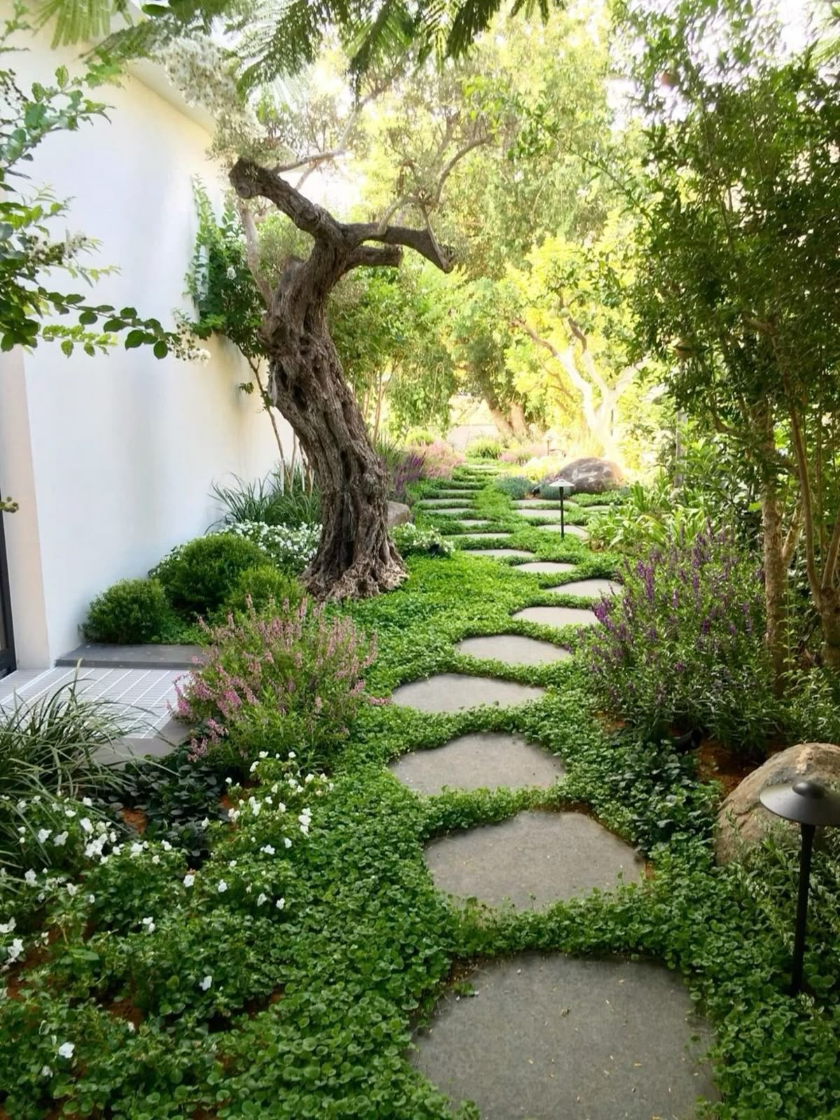 Bluestone Organic Stepper