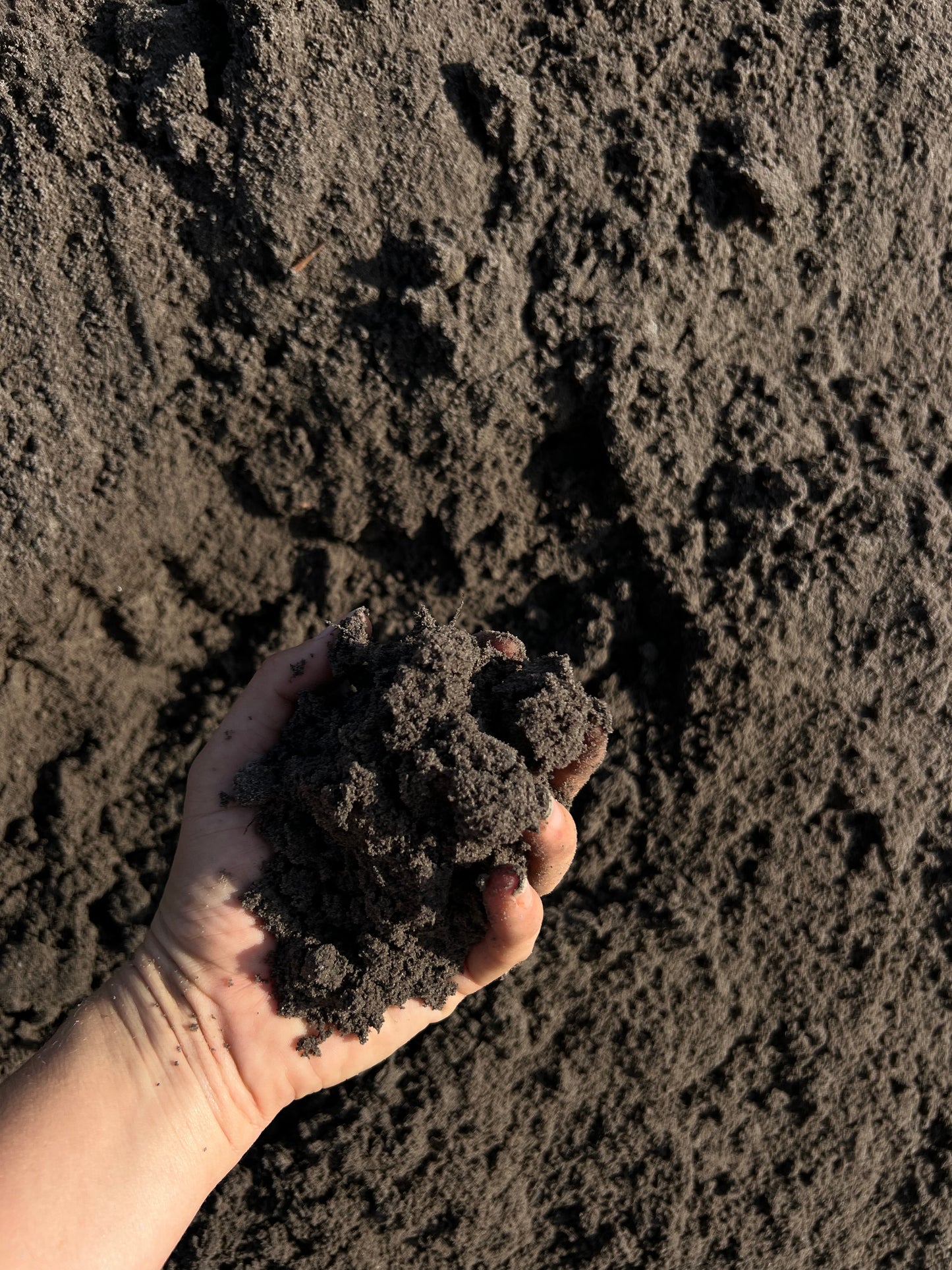 Premium Soil