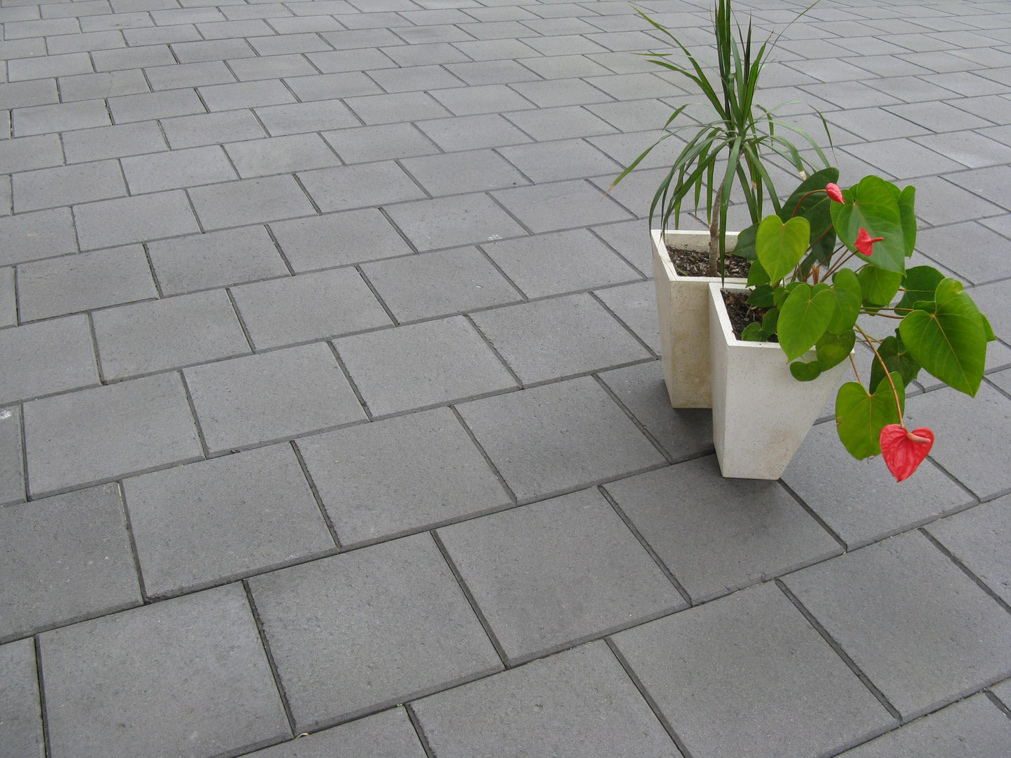 Apex Masonry CentroPAVE 300x300x40 Charcoal
