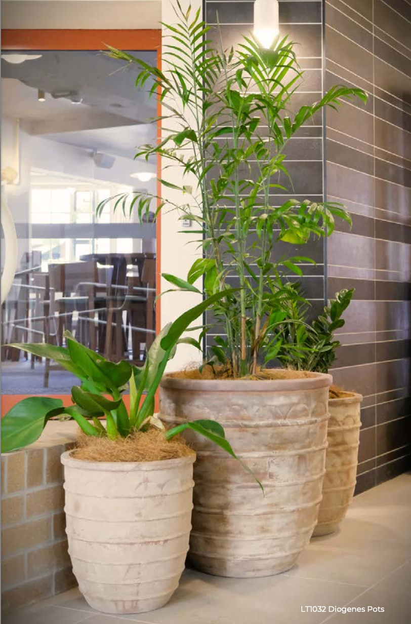 Burrum Landscape Supplies Diogenes Pot
