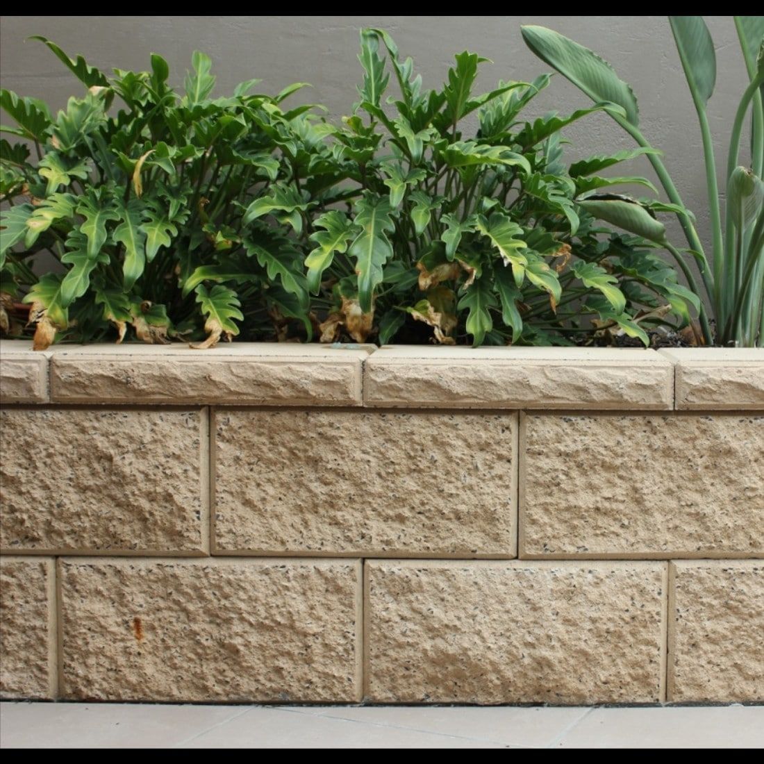Apex Masonry Trendstone Standard Cap Pebble