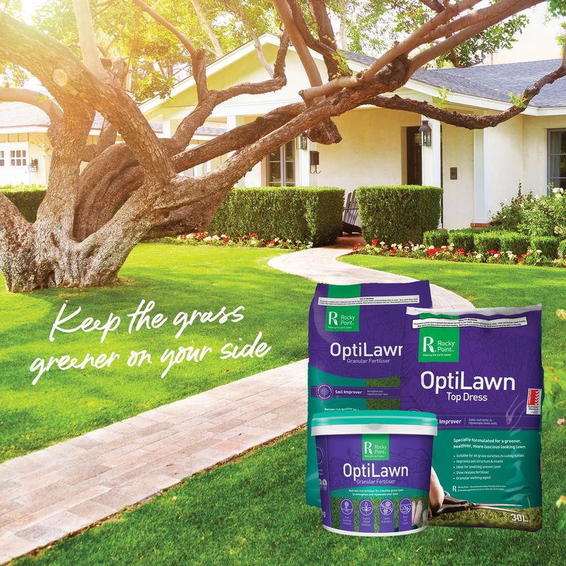 Rocky Point OptiLawn Granular Fertiliser 6kg Bucket