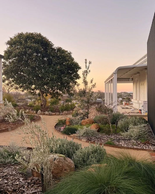 Garden beds with mulch and healthy plants in a coastal Queensland garden in Hervey Bay.
