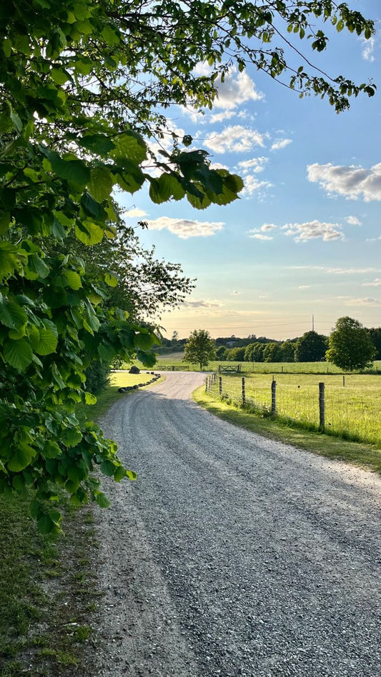Road Base: What It Is, What It's Used For, and How to Get It Right