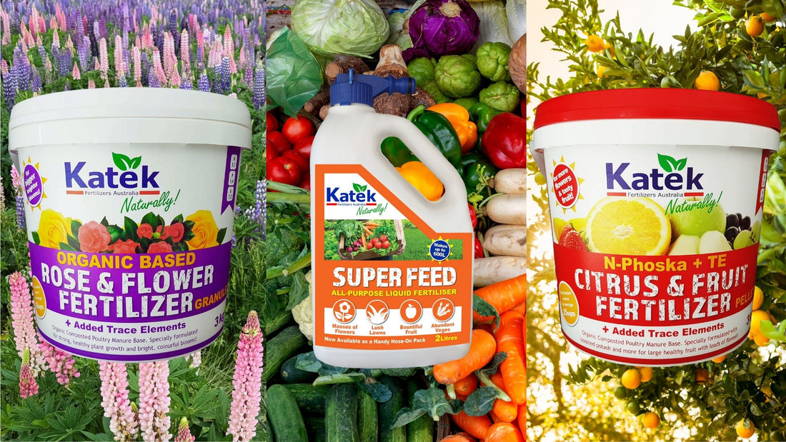 Katek: Your Local Organic Fertilizers for Lush Gardens