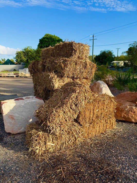 Cane Mulch: The Queensland Gardener's Secret Weapon