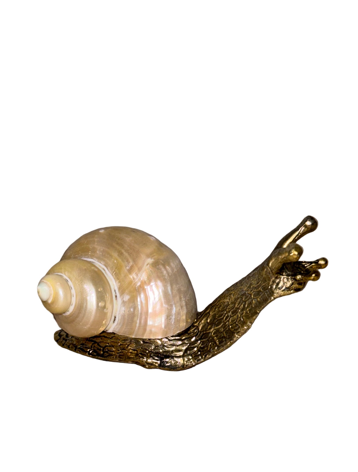 Shell Snail Antique Finish