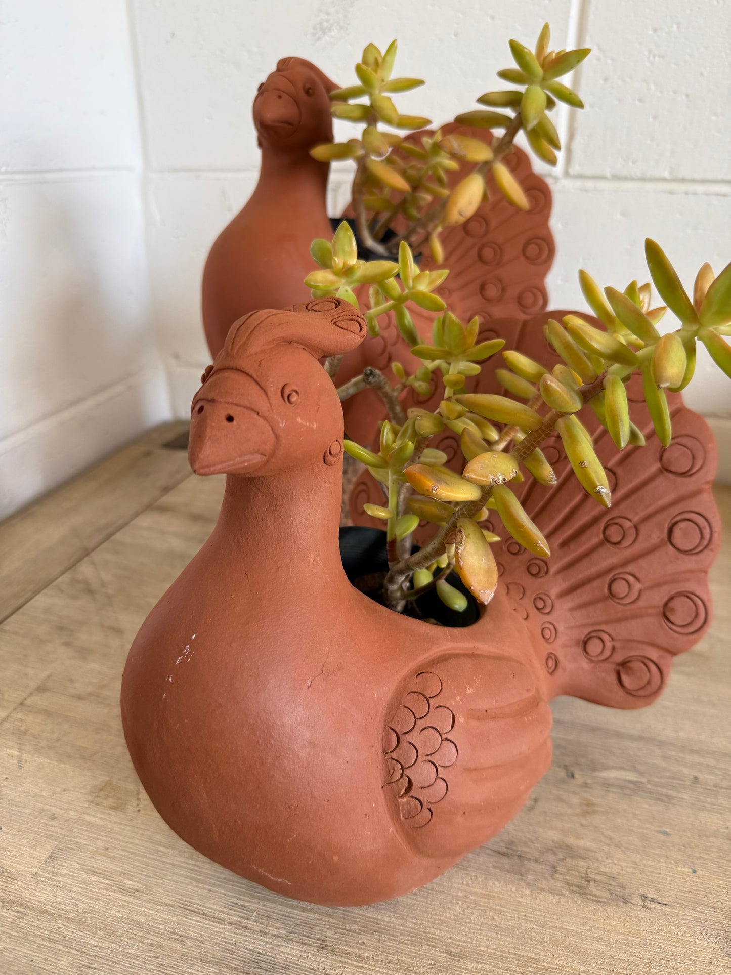 Terracotta Peacock Planter