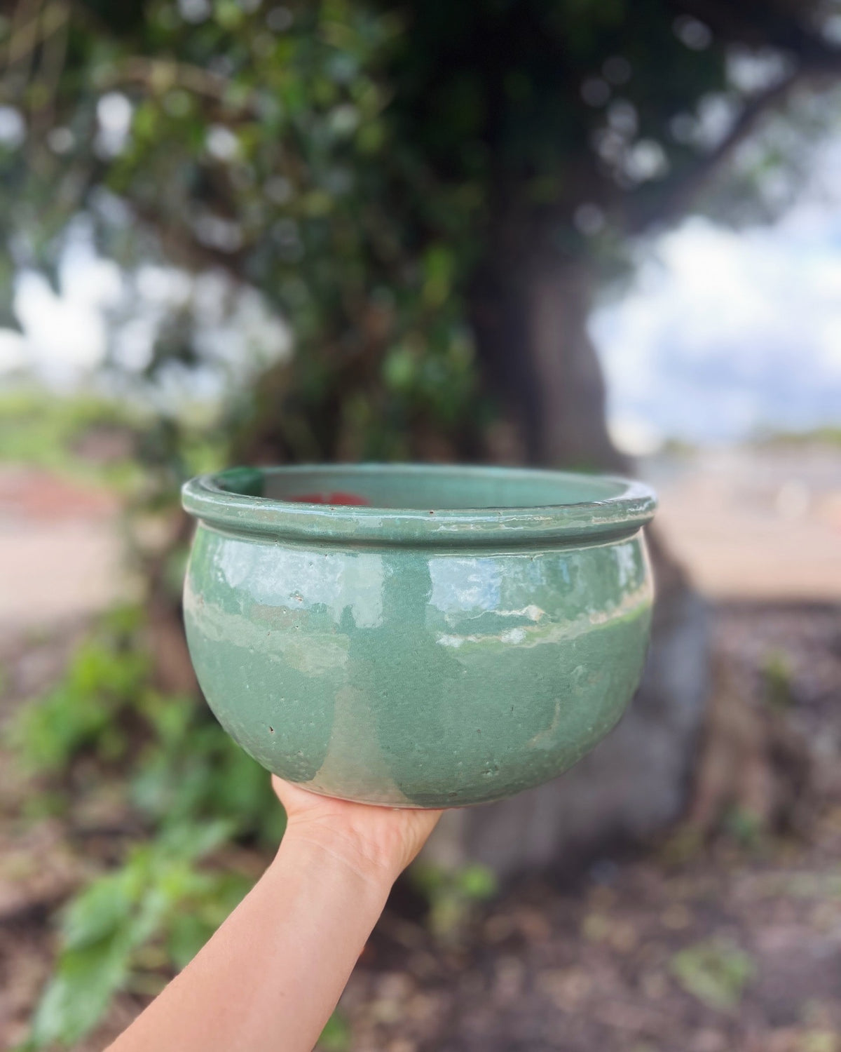 Flat Rim Planter Glazed Flat-Rim Bowl Planter — Garden Pots | Burrum Lands... – Burrum ...