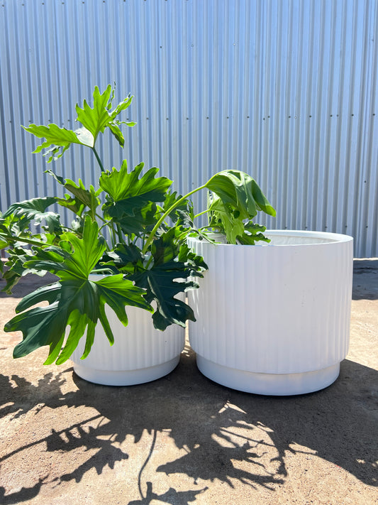 Balmoral Corrugated Cylinder Pot