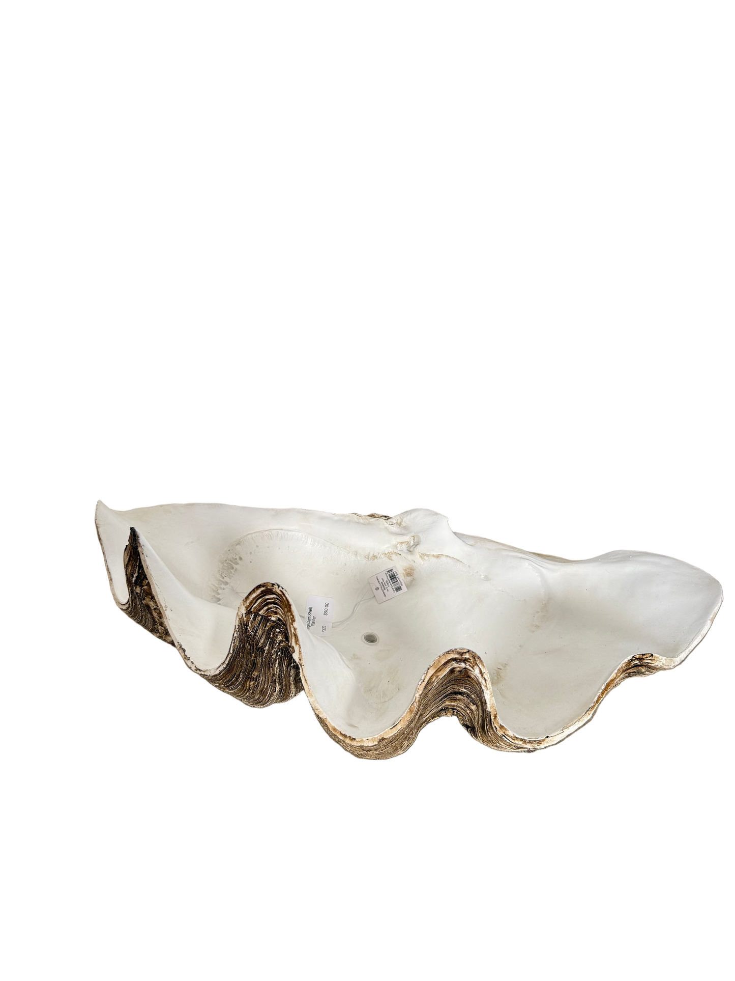 Large Clam Shell Planter