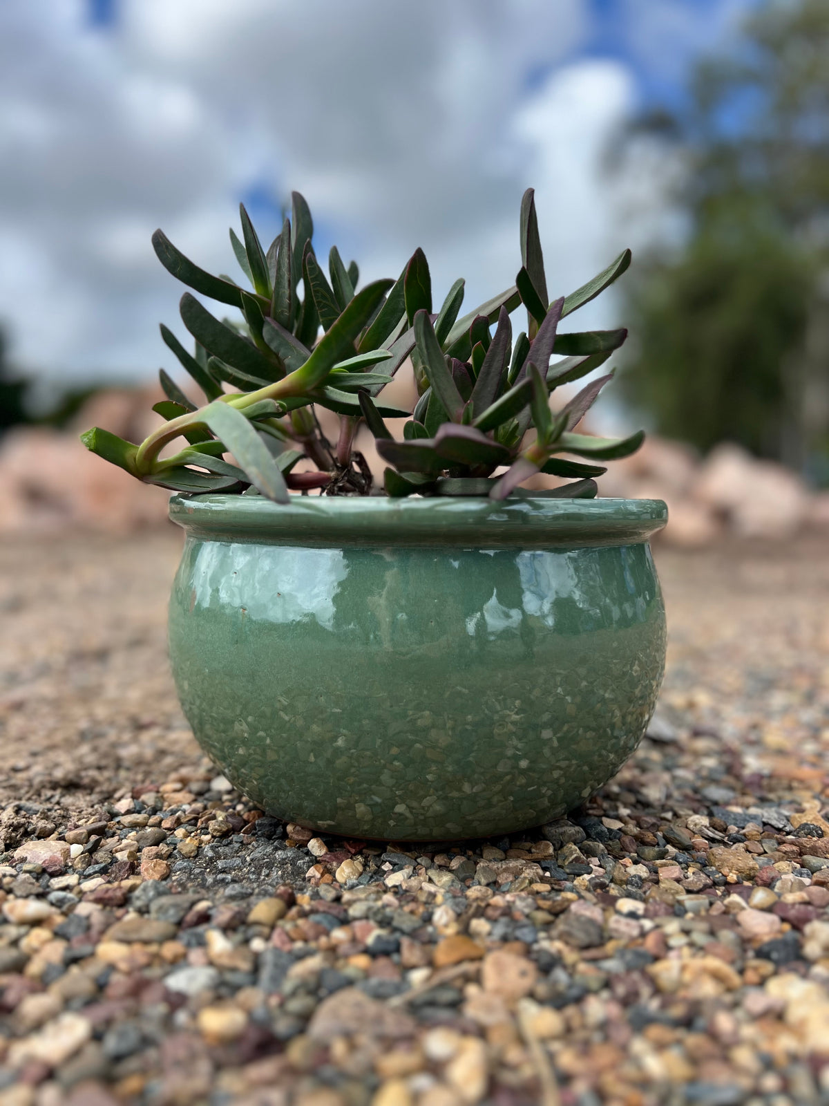 Flat Rim Planter Glazed Flat-Rim Bowl Planter — Garden Pots | Burrum Lands... – Burrum ...