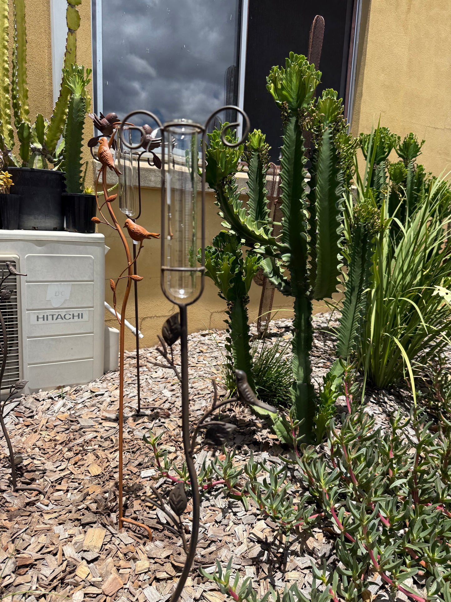 Birds on a Twig Rain Gauge