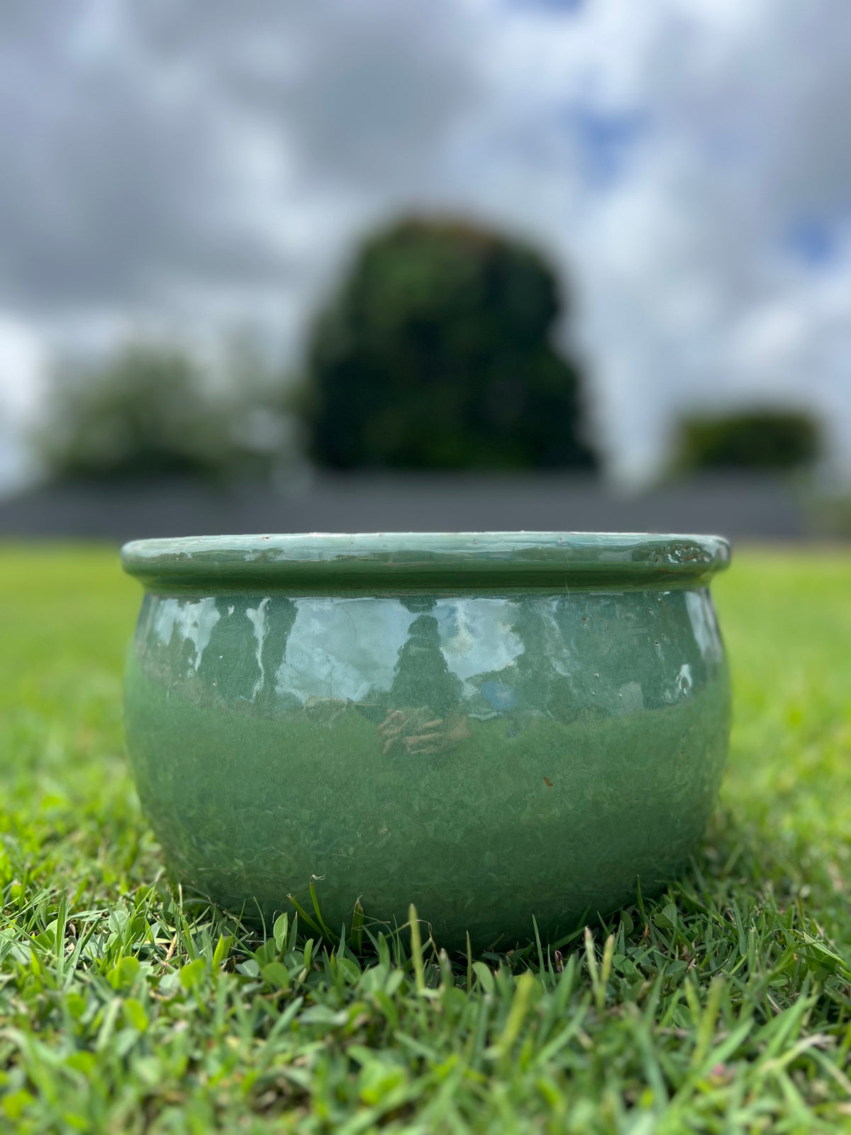 Flat Rim Planter Glazed Flat-Rim Bowl Planter | Garden Pots | Burrum – Burrum Landscape ...