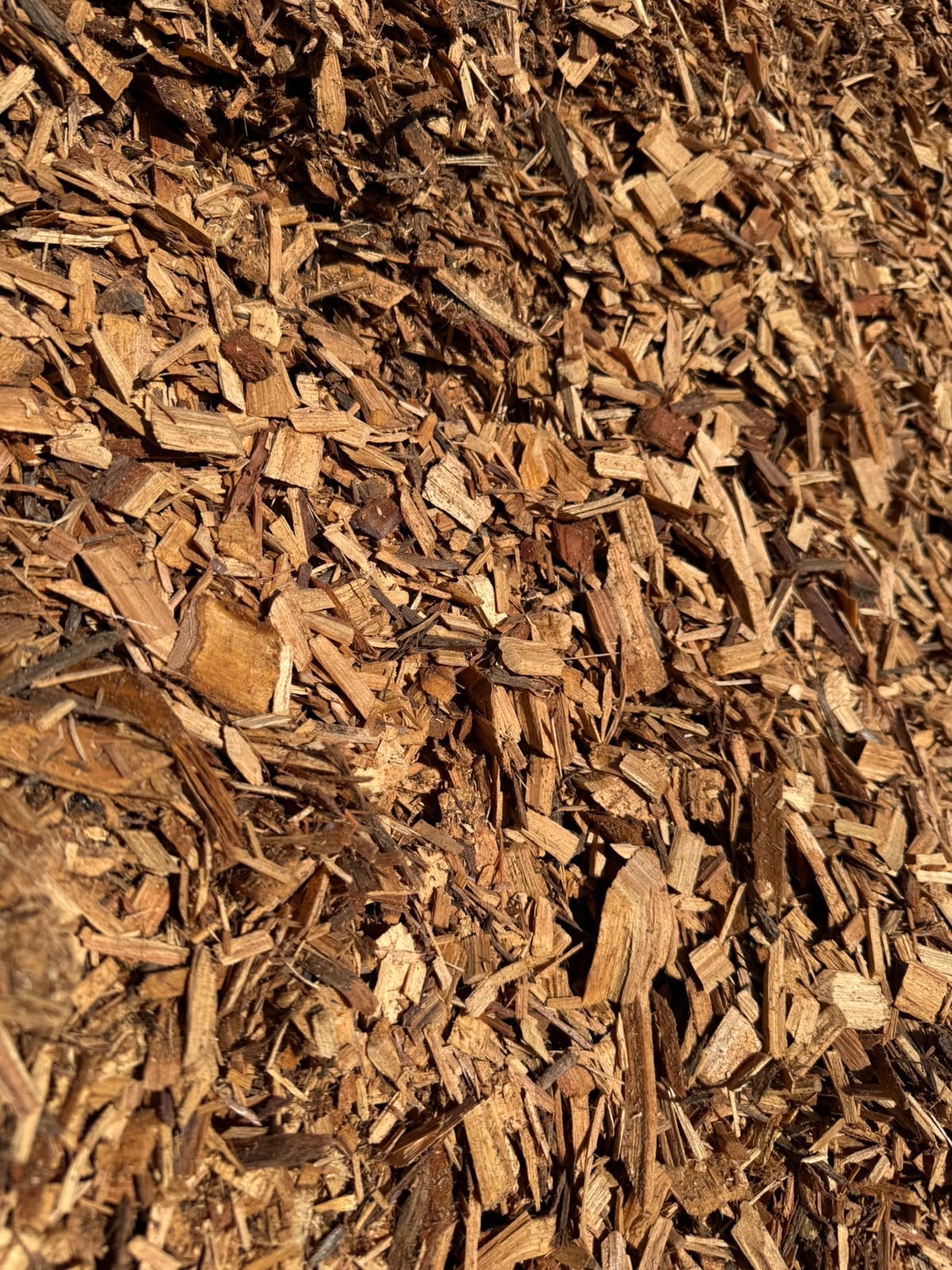 Cypress Chip