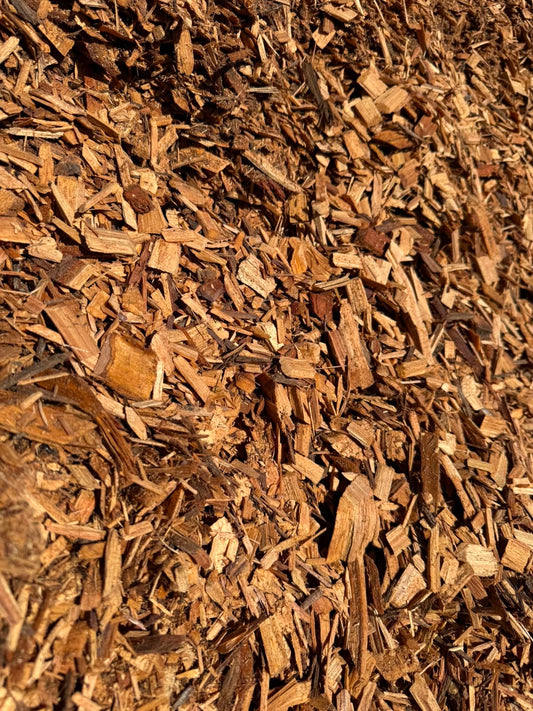 Cypress Chip