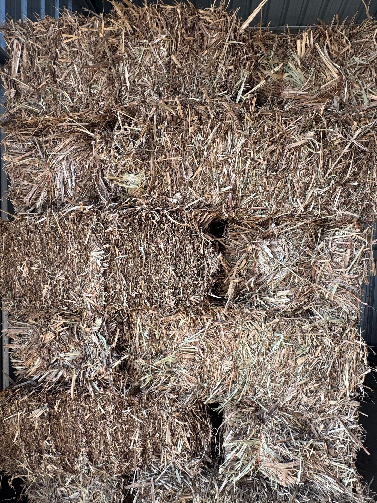 Sugar Cane Bale