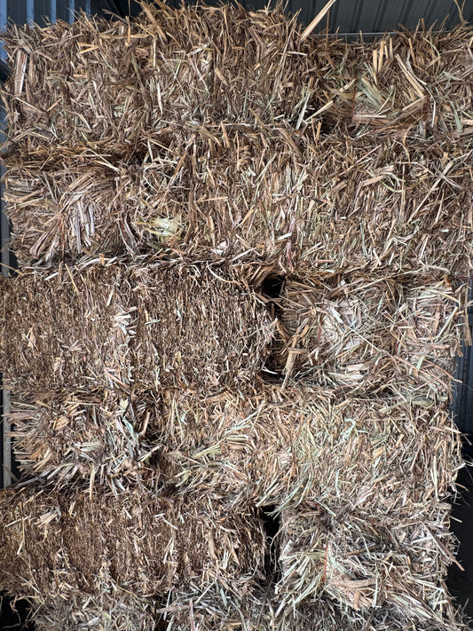 Sugar cane mulch bales ready for pickup or delivery — Burrum Landscape Supplies Howard QLD