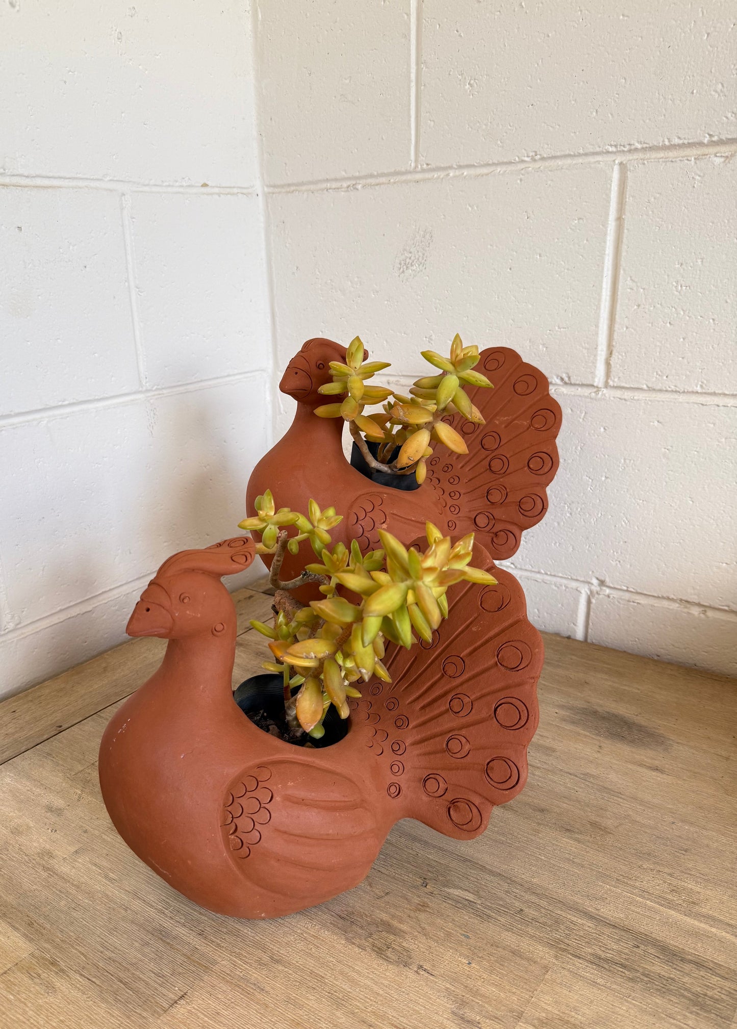 Terracotta Peacock Planter