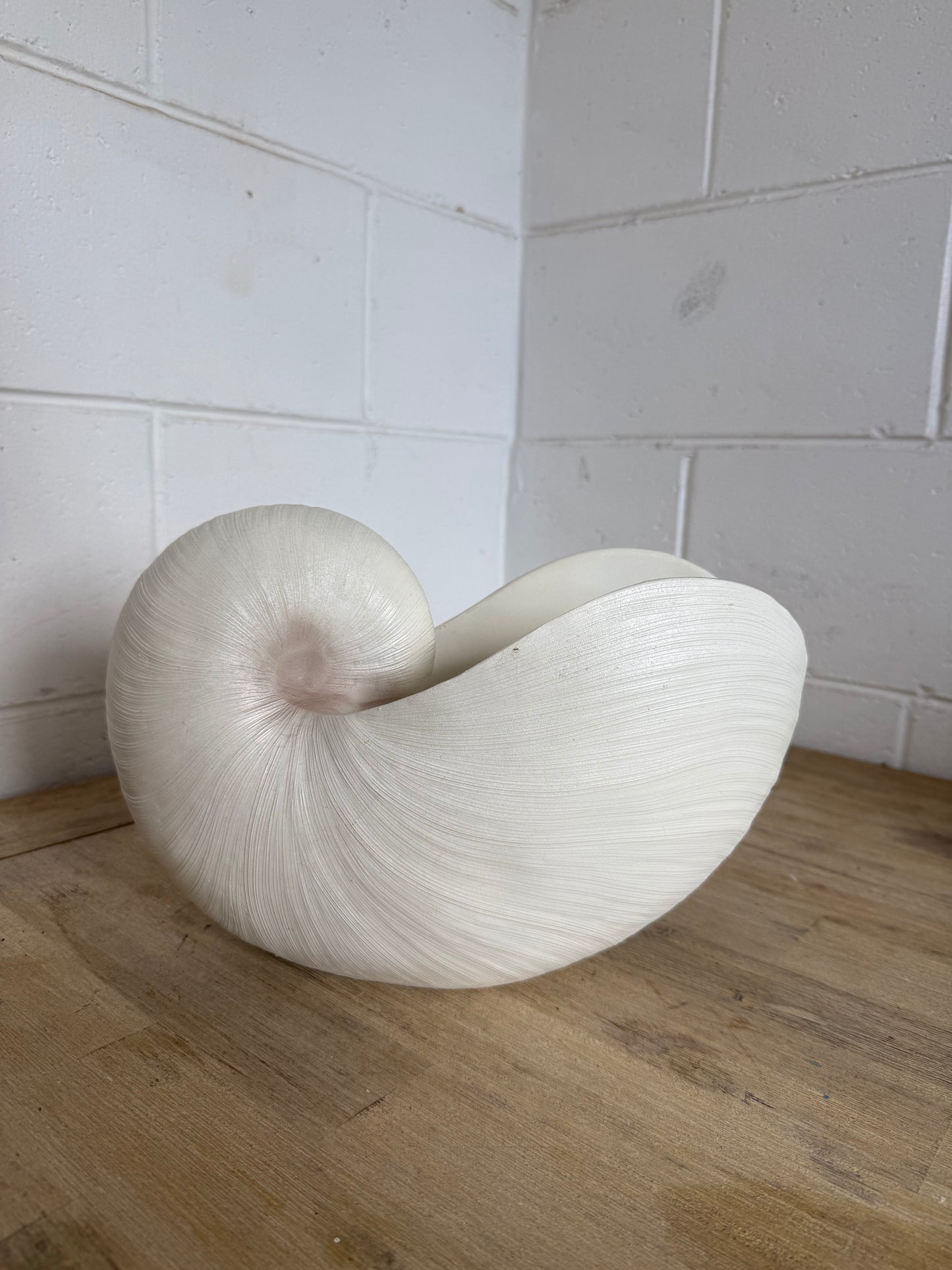 White Nautilus Shell Planter