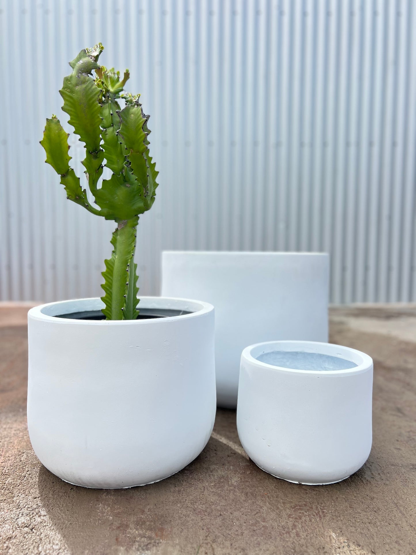 GardenLite Squat Egg Planter