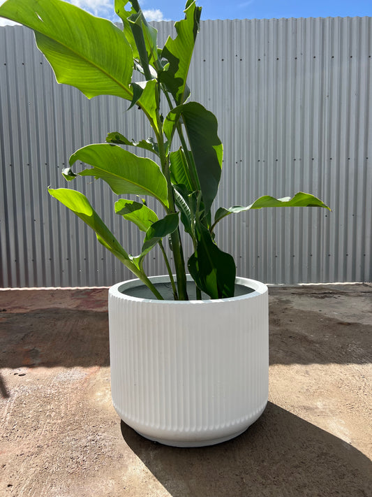 GardenLite Corrugated Cylinder Pot