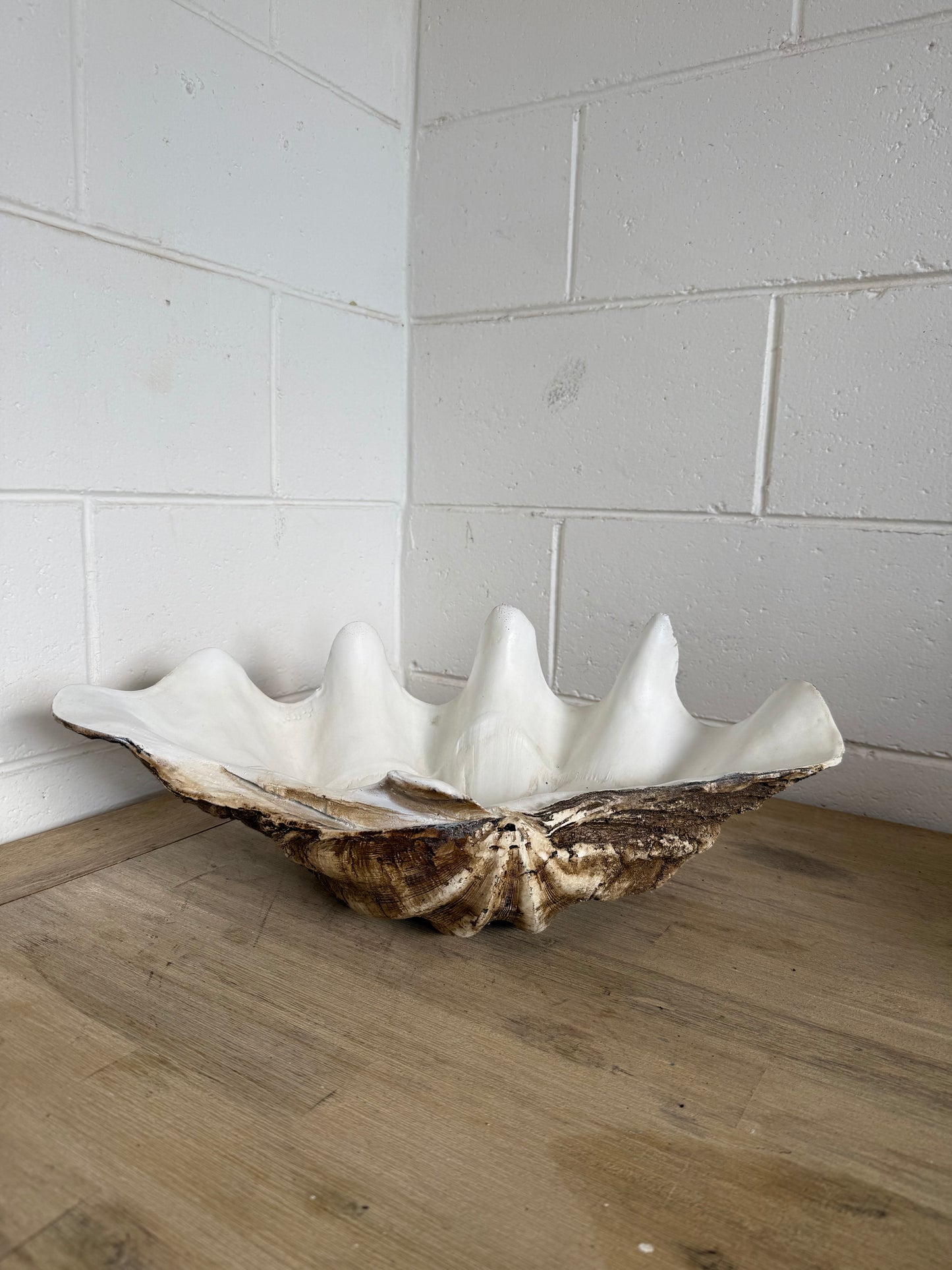 Large Clam Shell Planter