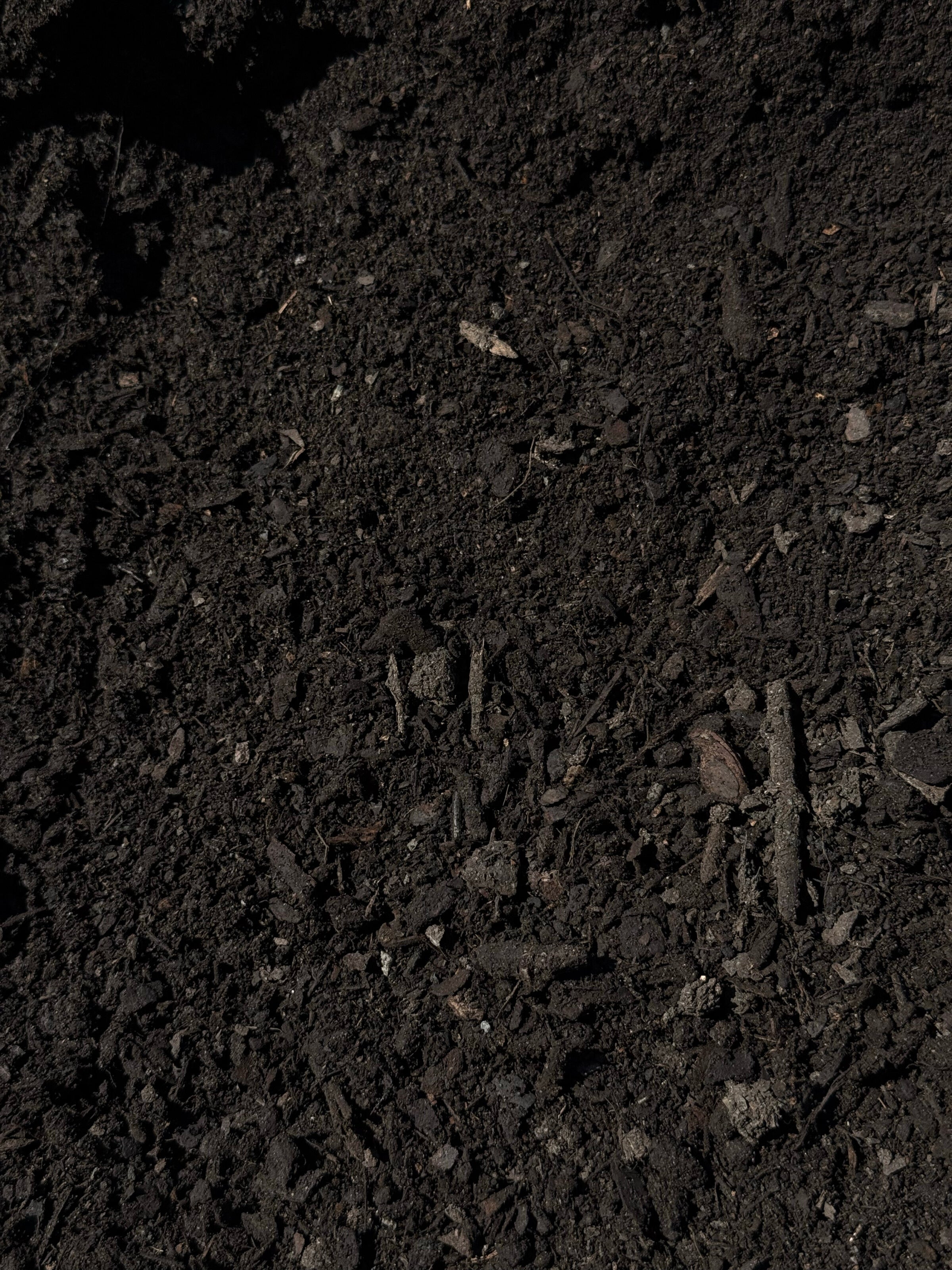 Close-up of dark brown soil with small stones and organic matter