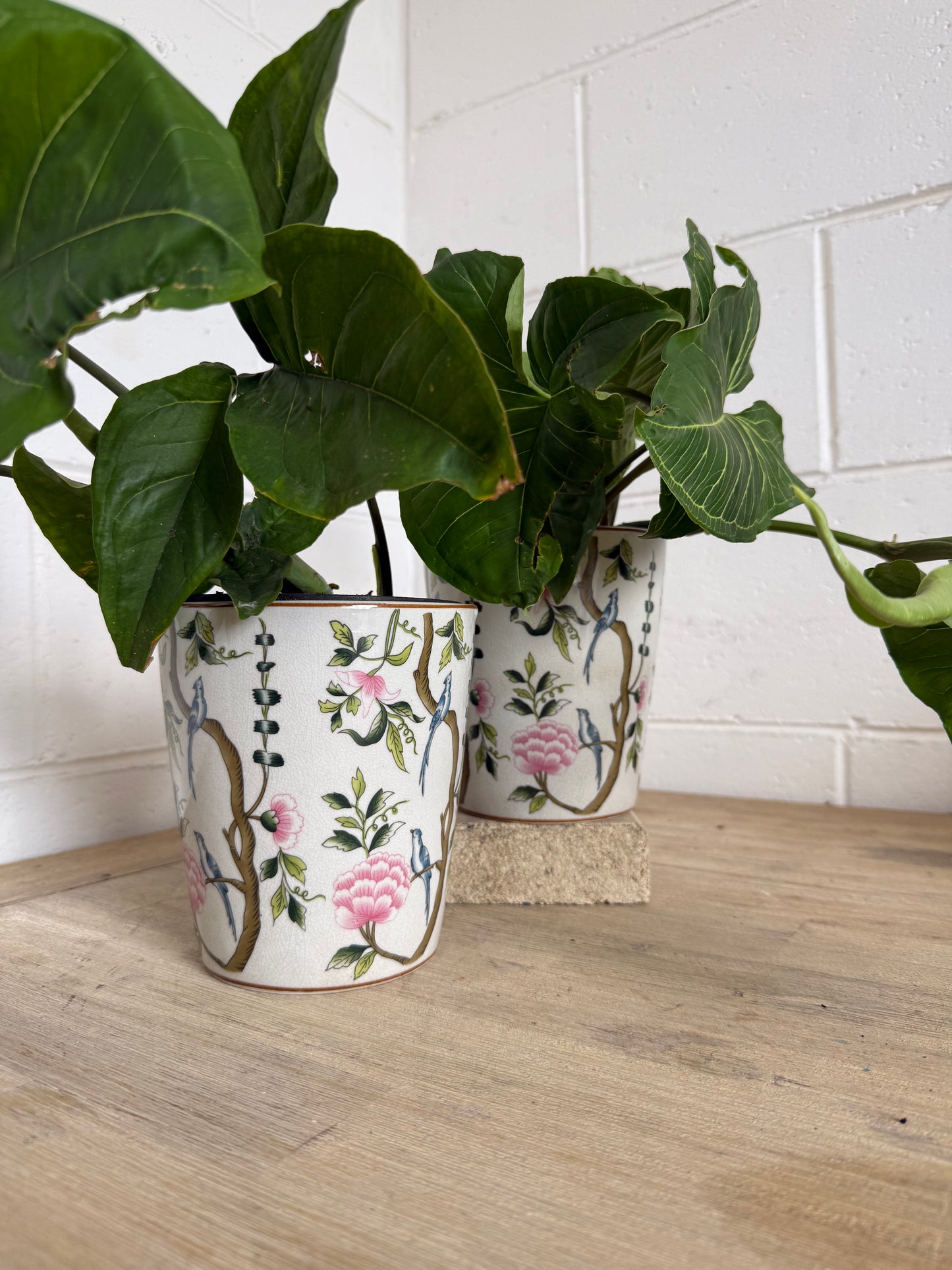 Rossignol Tapered Pot