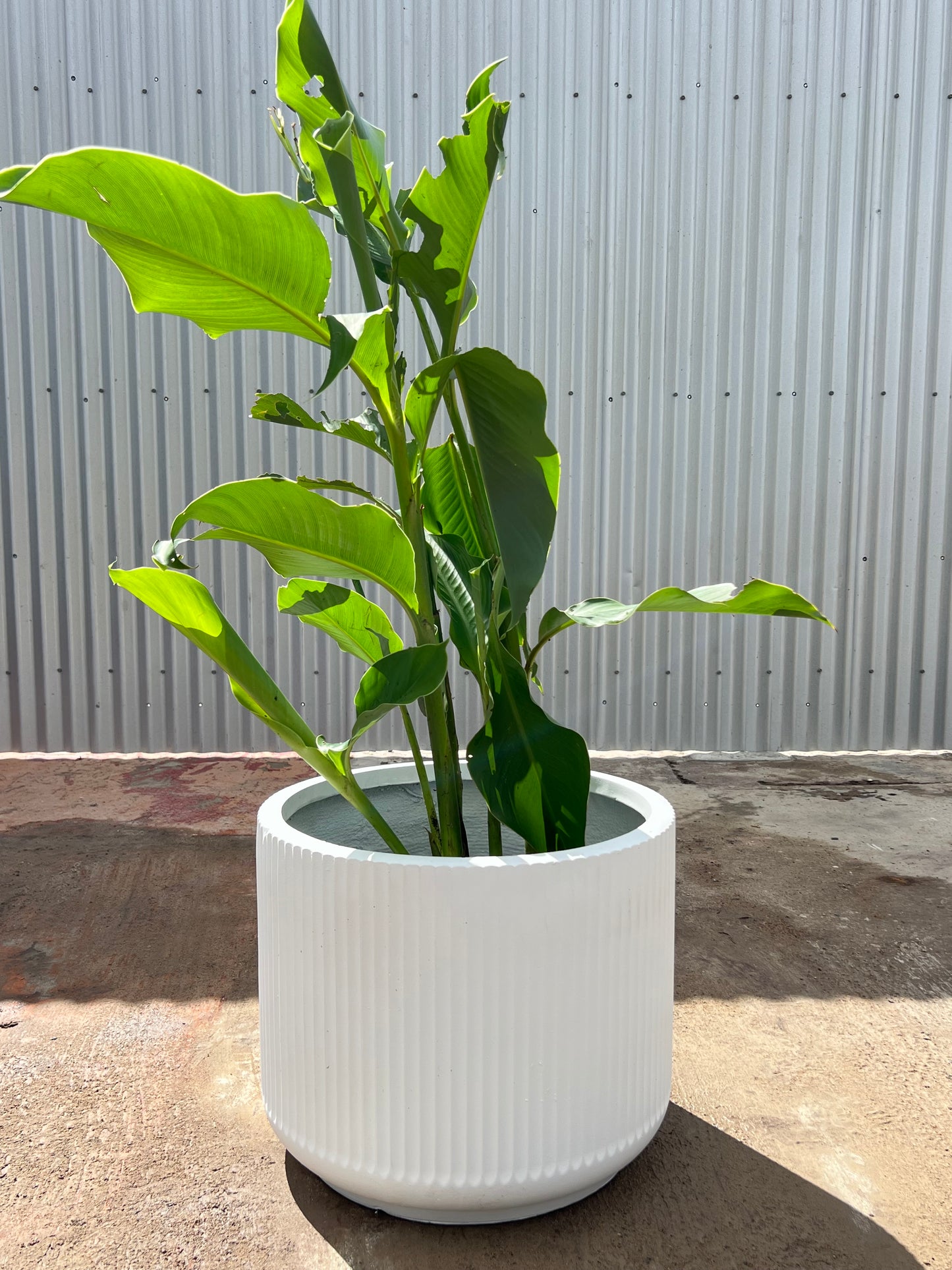 GardenLite Corrugated Cylinder Pot