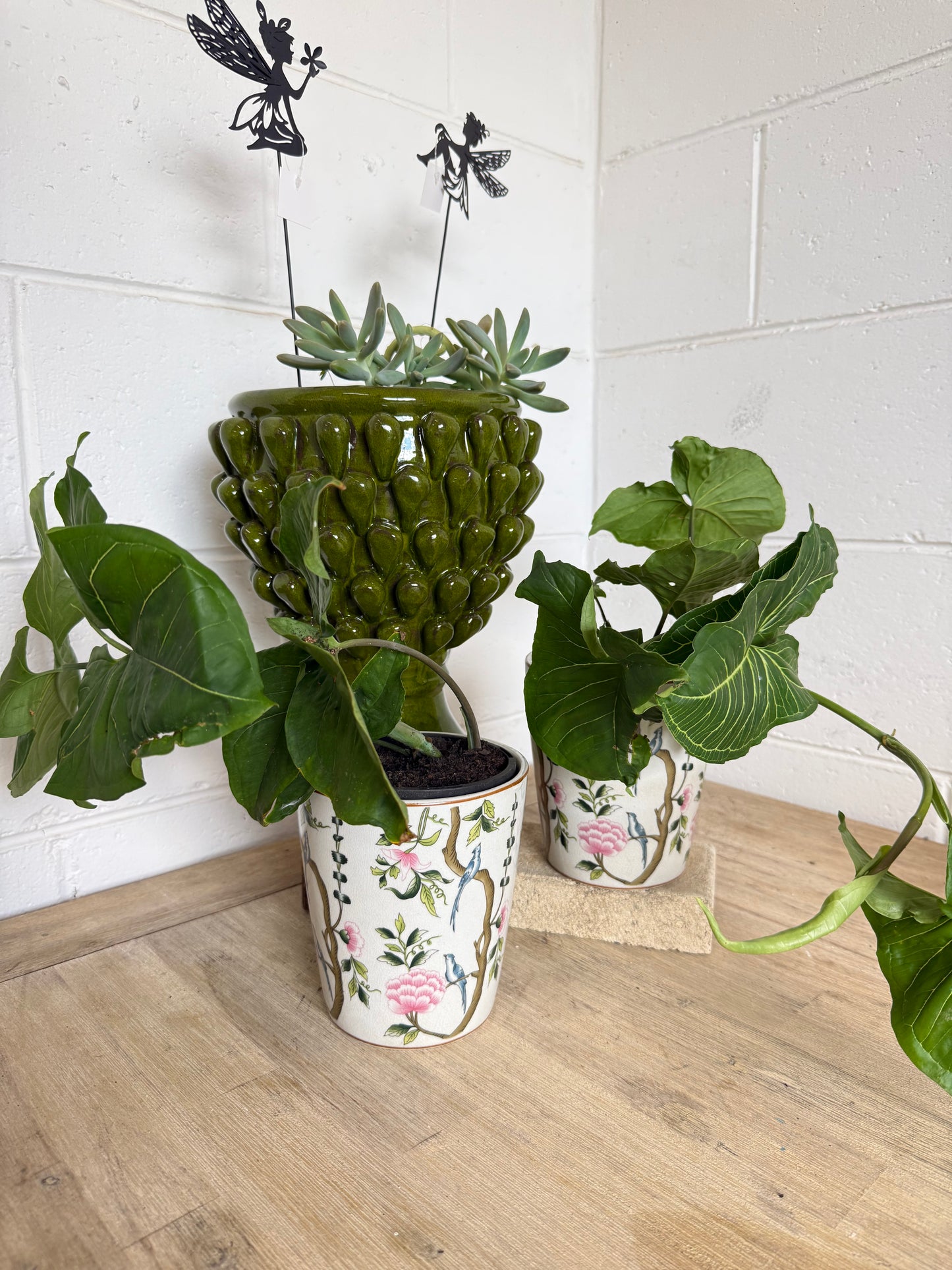 Rossignol Tapered Pot