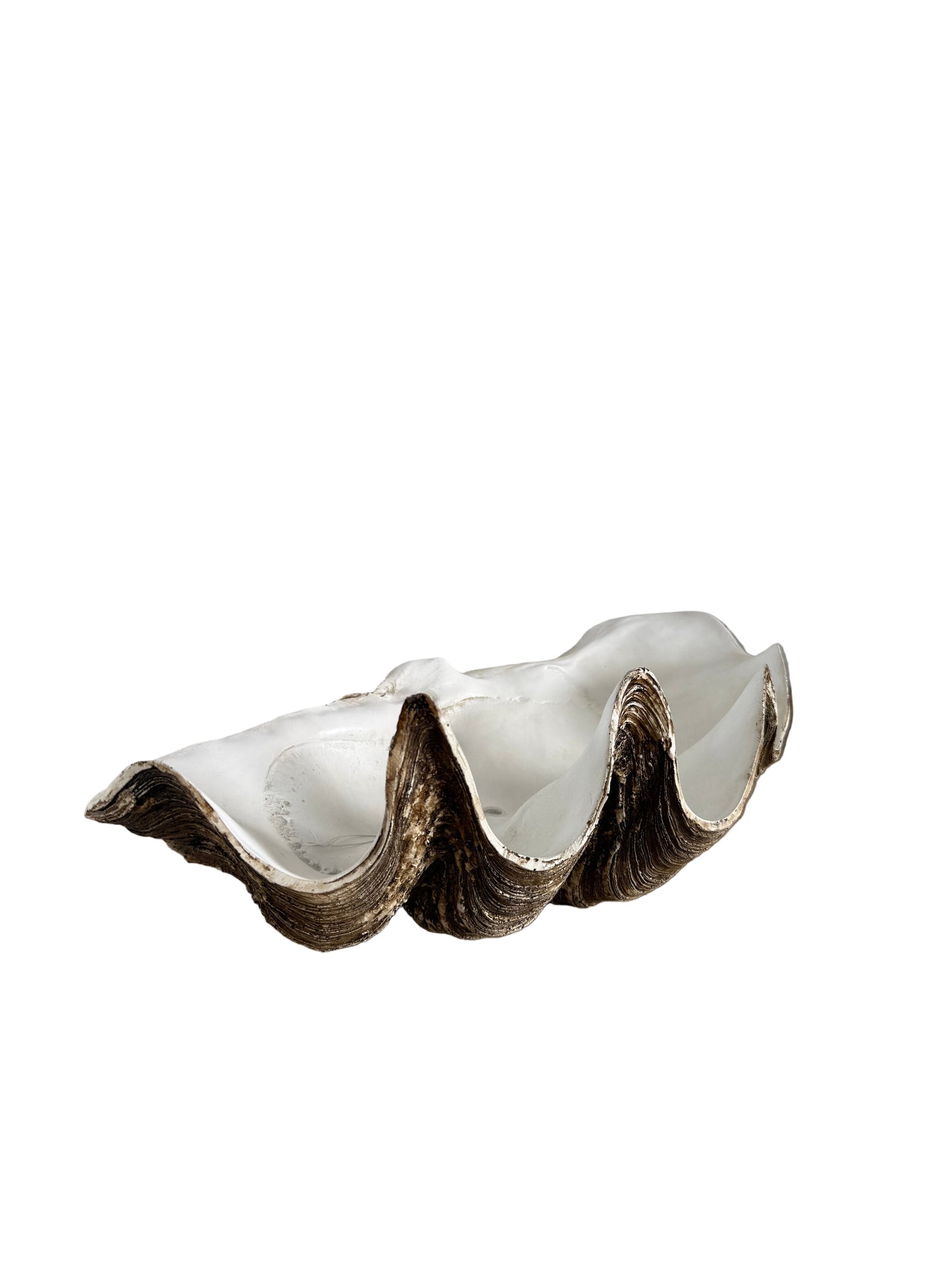 Large Clam Shell Planter