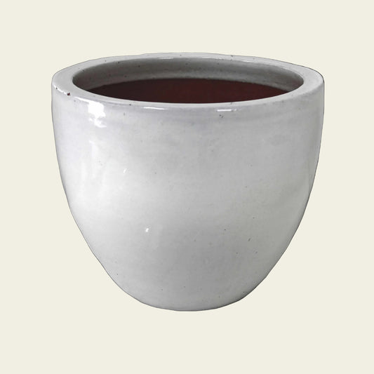 White ceramic planter on a white background