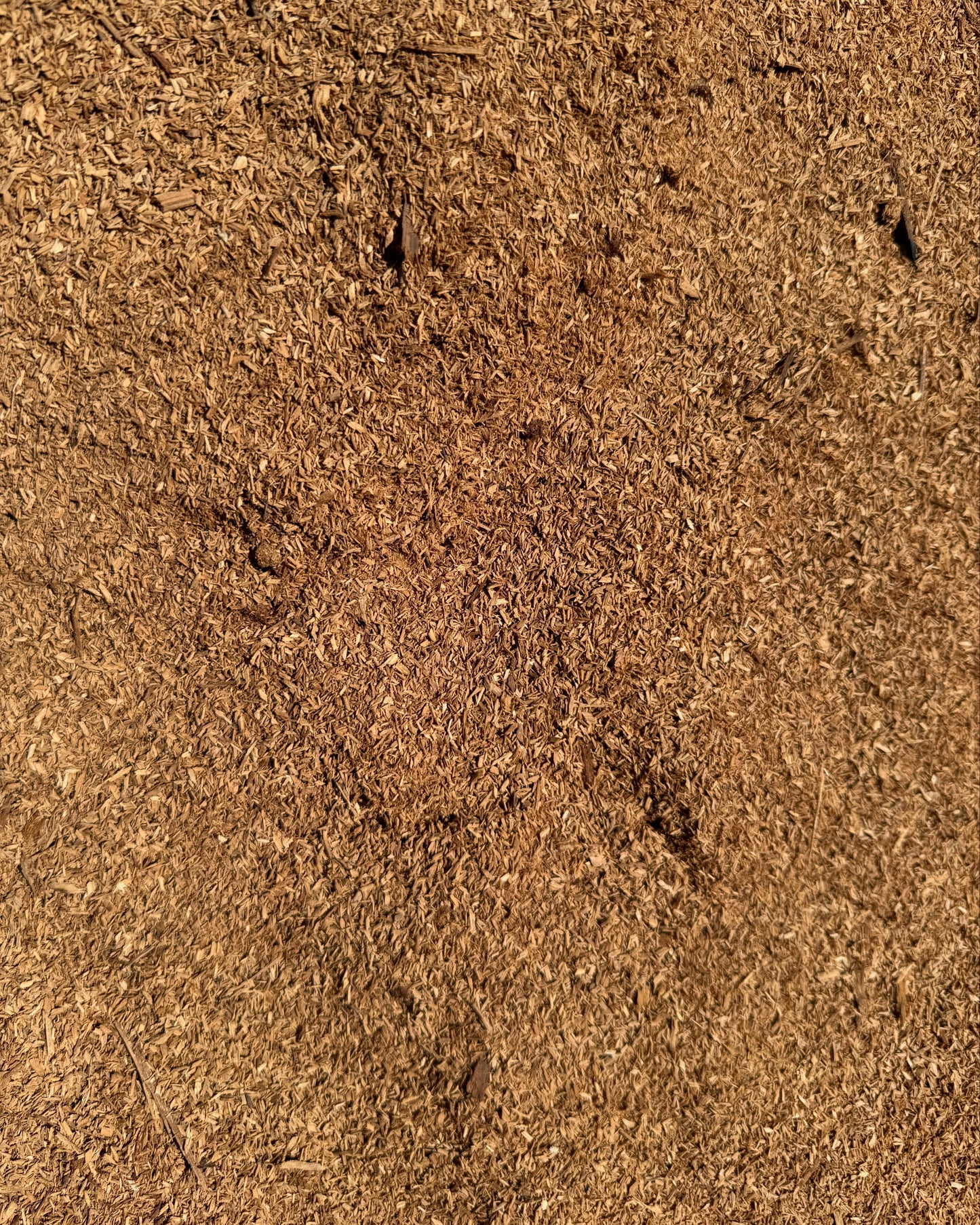 Sawdust