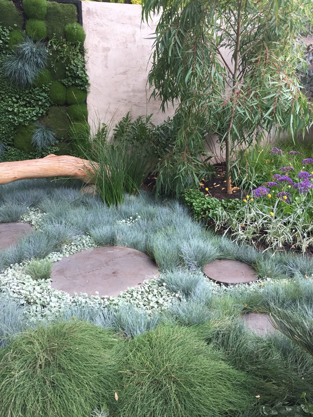 Bluestone Organic Stepper