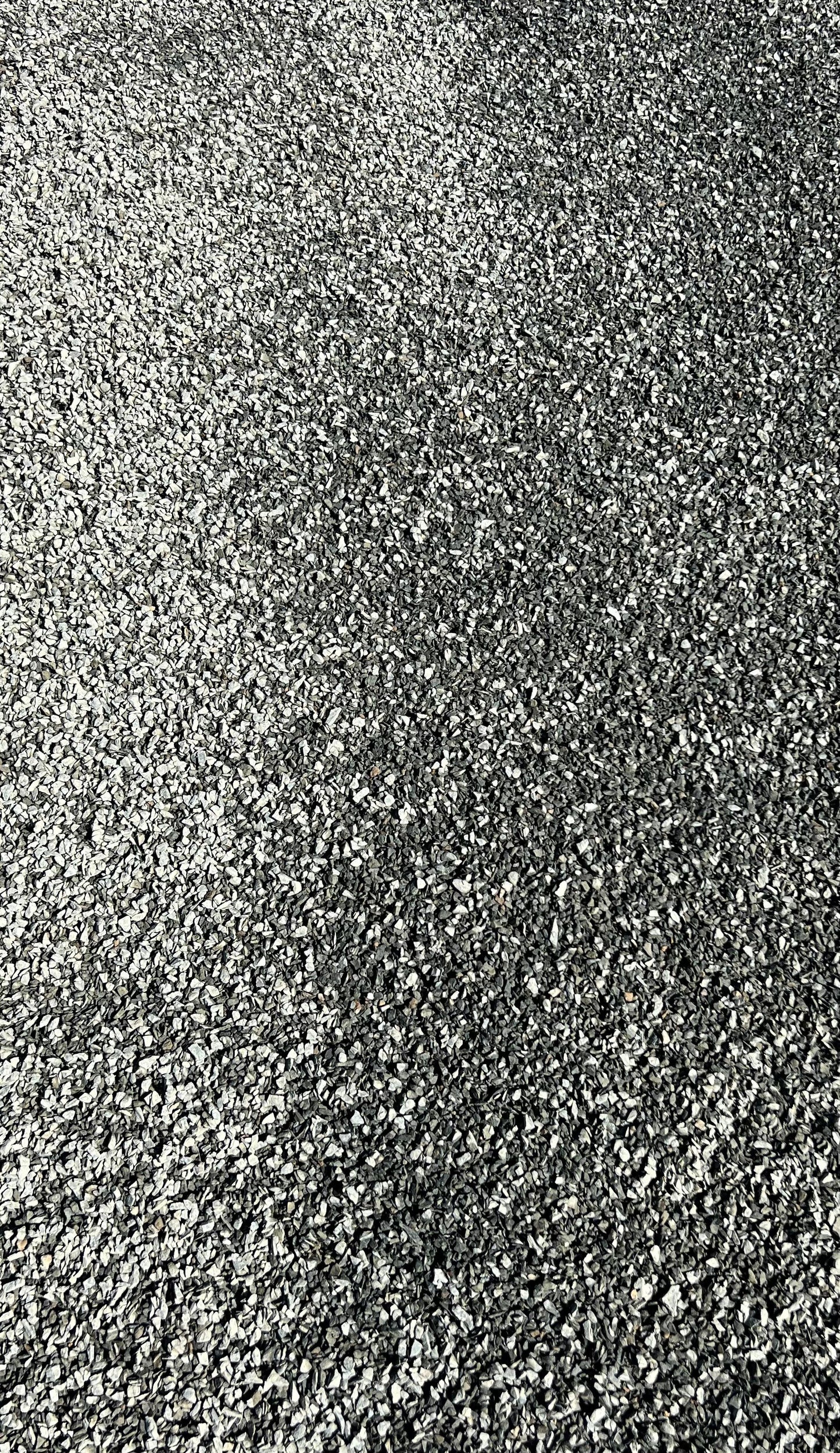 IMG_9485