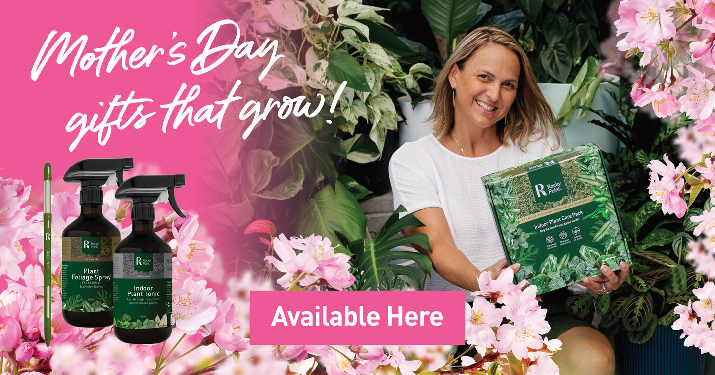 Indoor Plant Care Pack